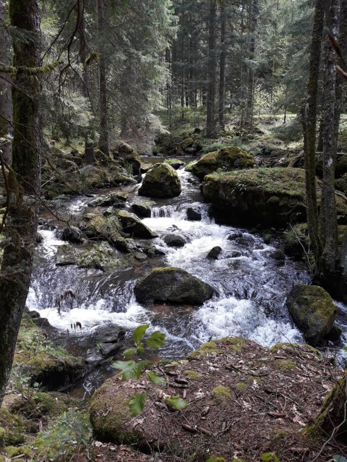 Anno - Die Wohlfuehl - Idylle In Gruenbach_Kirchdorf Kirchdorf im Wald Екстериор снимка