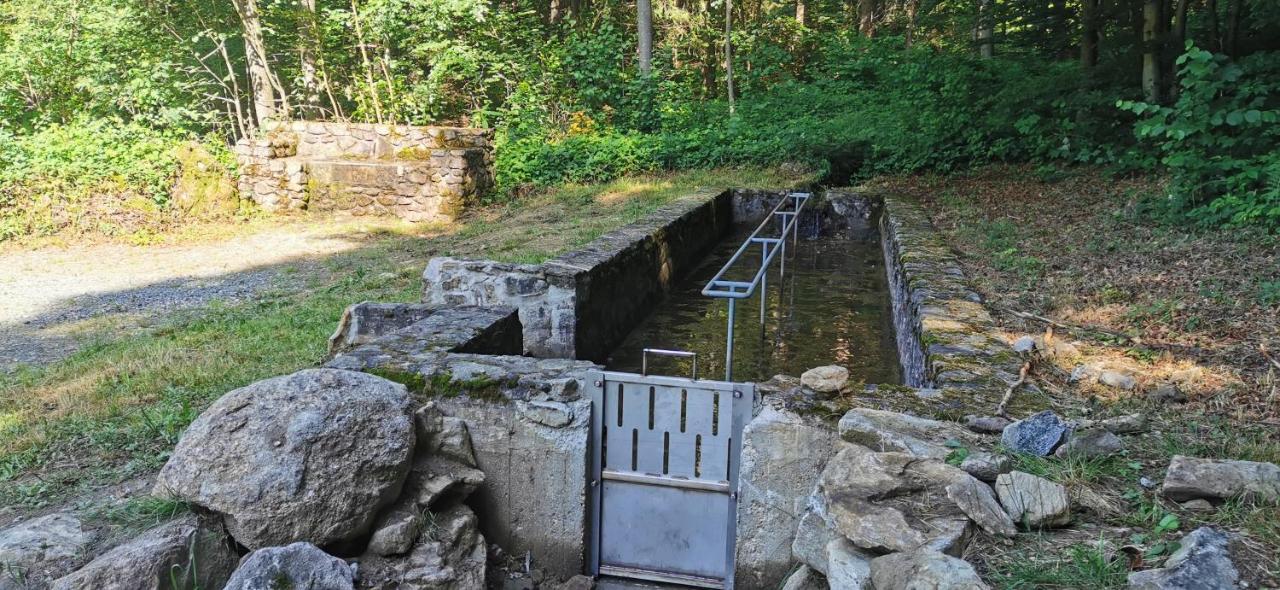 Anno - Die Wohlfuehl - Idylle In Gruenbach_Kirchdorf Kirchdorf im Wald Екстериор снимка